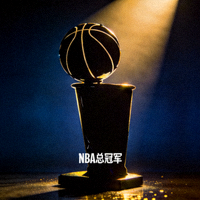 篮球冠军奖杯剪影 - NBA总冠军奖杯的辉煌展示